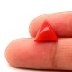 Coral Italian  3.74 Ct Best Quality