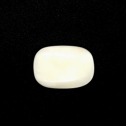 White Coral (Safed Moonga) 23.15 Best Quality