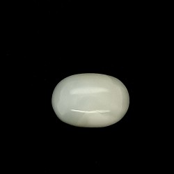 White Coral (Safed Moonga) 10.90 Best Quality