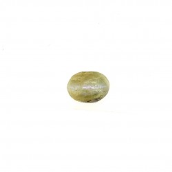 Cat's Eye (Lahsunia) 6.23 Ct Best quality