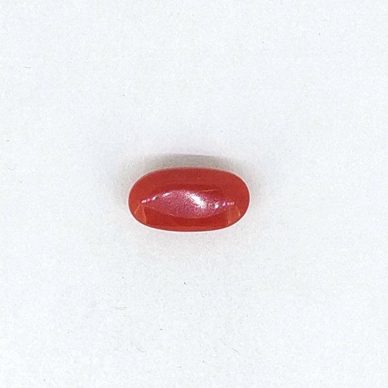 Coral (Munga) 5.91 Ct Lab Tested Coral (Munga) 5.91 Ct Lab Tested