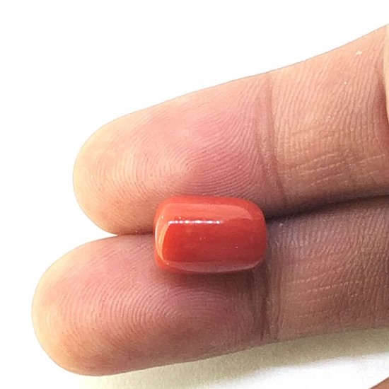 Coral (Munga) 5.73 Ct Best quality Coral (Munga) 5.73 Ct Best quality