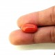 Coral (Munga) 6.63 Ct Good quality Coral (Munga) 6.63 Ct Good quality
