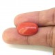 Coral (Munga) 6.78 Ct Gem quality