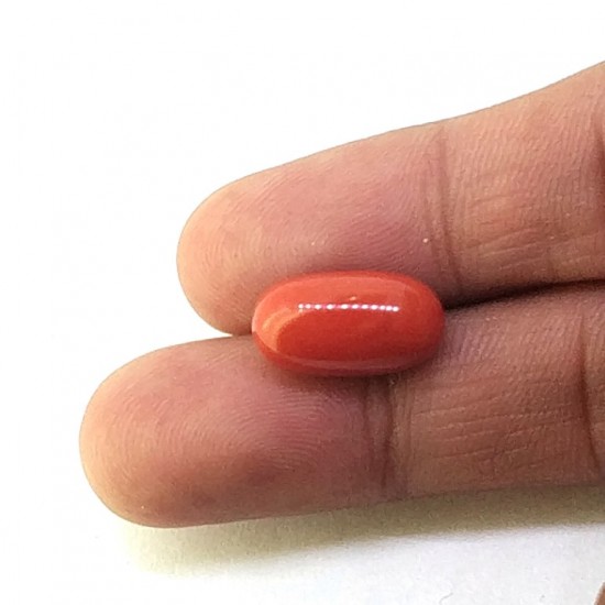 Coral (Munga) 6.38 Ct Best quality Coral (Munga) 6.38 Ct Best quality