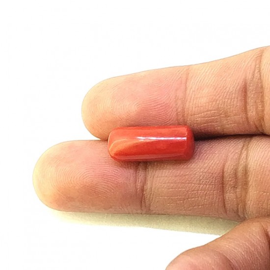 Coral (Munga) 6.5 Ct Good quality Coral (Munga) 6.5 Ct Good quality