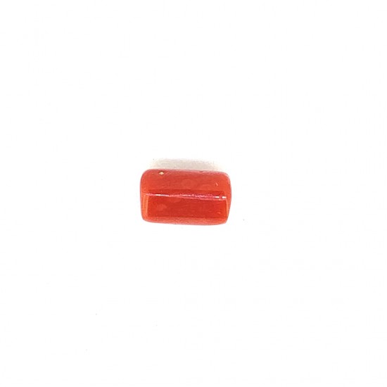 Coral (Munga) 6.24 Ct Good quality Coral (Munga) 6.24 Ct Good quality