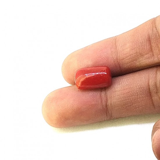 Coral (Munga) 6.37 Ct Gem quality Coral (Munga) 6.37 Ct Gem quality