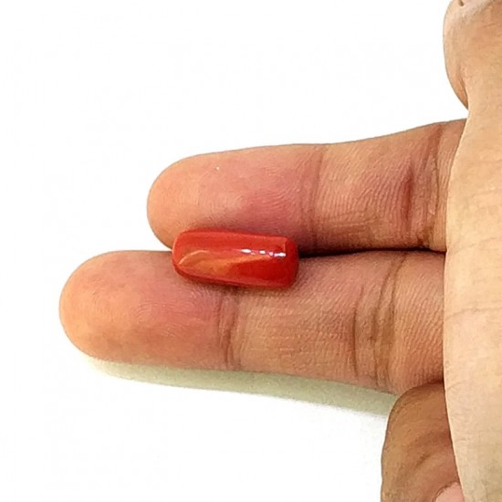 Coral (Munga) 6.42 Ct Good quality Coral (Munga) 6.42 Ct Good quality