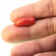 Coral (Munga) 6.46 Ct Lab Tested Coral (Munga) 6.46 Ct Lab Tested