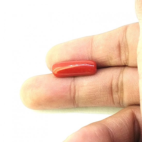 Coral (Munga) 6.8 Ct Best quality