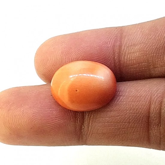 Coral (Munga) 8.69 Ct Lab Tested Coral (Munga) 8.69 Ct Lab Tested
