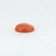 Coral (Munga) 8.69 Ct Lab Tested Coral (Munga) 8.69 Ct Lab Tested