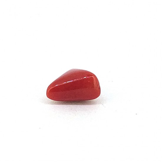 Coral (Munga) 9.25 Ct Lab Tested