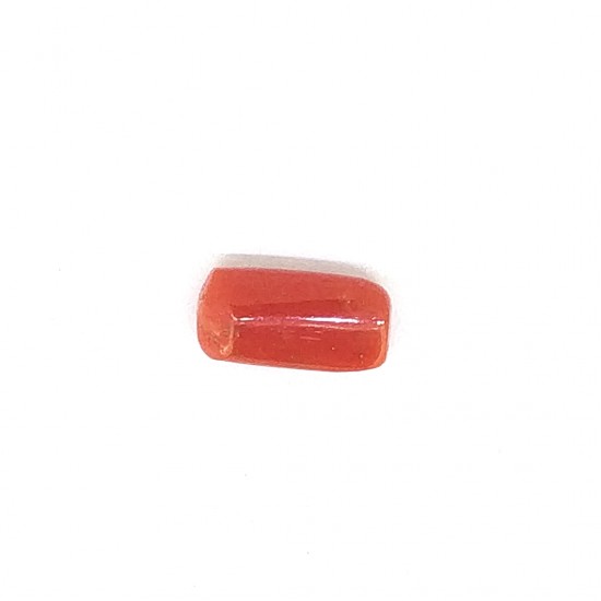 Coral (Munga) 5.7 Ct Best quality