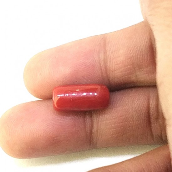 Coral (Munga) 5.73 Ct Certified Coral (Munga) 5.73 Ct Certified