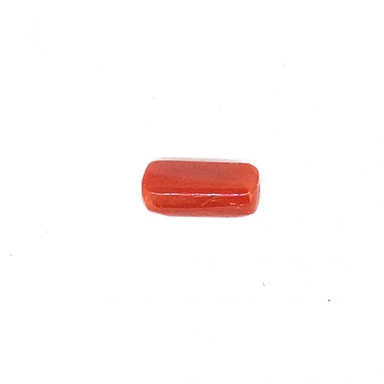 Coral (Munga) 6.74 Ct Good quality Coral (Munga) 6.74 Ct Good quality