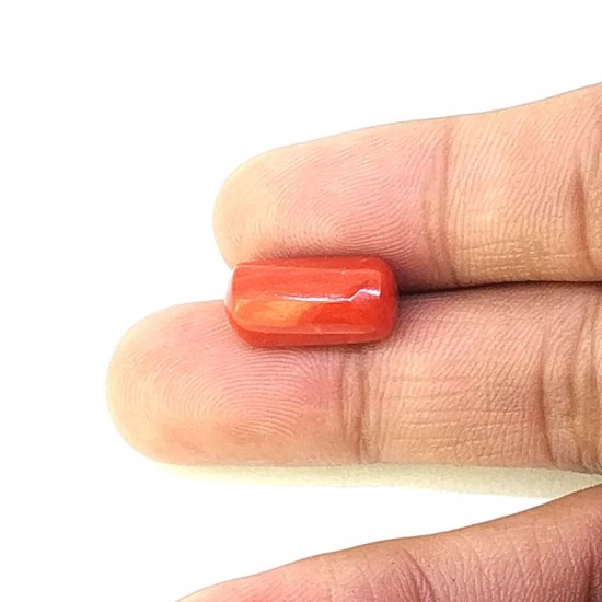 Coral (Munga) 6.74 Ct Good quality Coral (Munga) 6.74 Ct Good quality