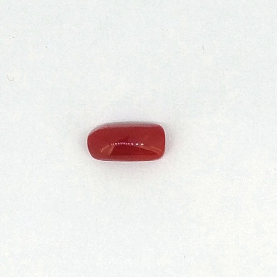 Coral (Munga) 7.55 Ct Best quality Coral (Munga) 7.55 Ct Best quality