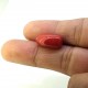 Coral (Munga) 7.55 Ct Best quality Coral (Munga) 7.55 Ct Best quality