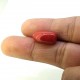 Coral (Munga) 7.55 Ct Best quality