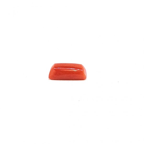 Coral (Munga) 6.67 Ct Good quality Coral (Munga) 6.67 Ct Good quality