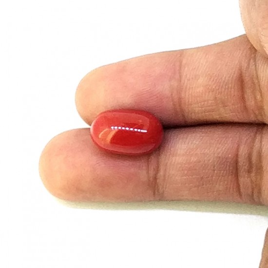 Coral (Munga) 6.25 Ct Certified