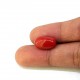 Coral (Munga) 6.58 Ct Lab Tested Coral (Munga) 6.58 Ct Lab Tested