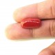 Coral (Munga) 6.8 Ct Gem quality Coral (Munga) 6.8 Ct Gem quality