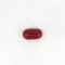 Coral (Munga) 7.69 Ct Lab Tested