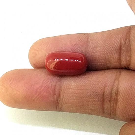 Coral (Munga) 7.69 Ct Lab Tested Coral (Munga) 7.69 Ct Lab Tested