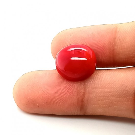 Coral (Munga) 8.9 Ct Best quality Coral (Munga) 8.9 Ct Best quality