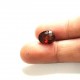 Hessonite (Gomed) 4.59 Ct gem quality