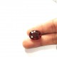 Hessonite (Gomed) 13.21 Ct gem quality