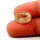 Golden Rotile 5.53 Ct Lab Tested