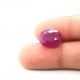 Ruby (Manik) 8.48 Ct Best quality