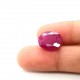 Ruby (Manik) 9.79 Ct Good quality