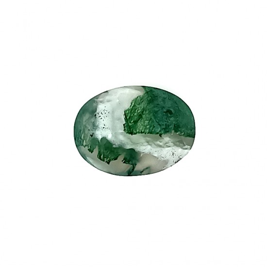 Tree Agate 5.57 Ct Best Quality