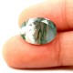 Tree Agate 6.69 Ct Lab Tested