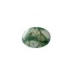 Tree Agate 6.68 Ct Best Quality