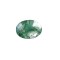 Tree Agate 6.68 Ct Best Quality